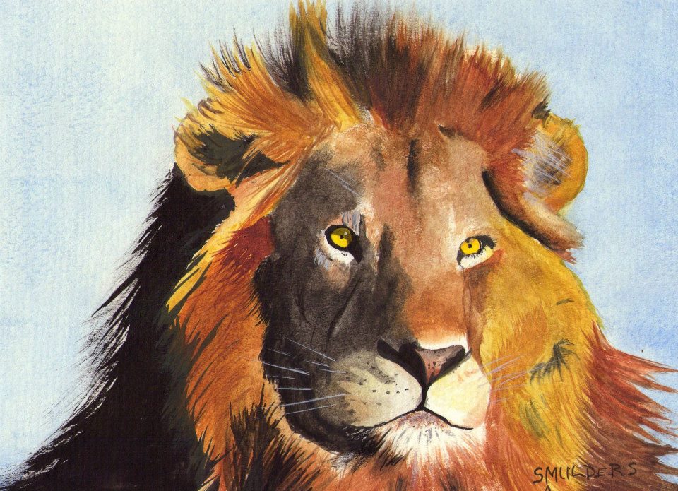 lion